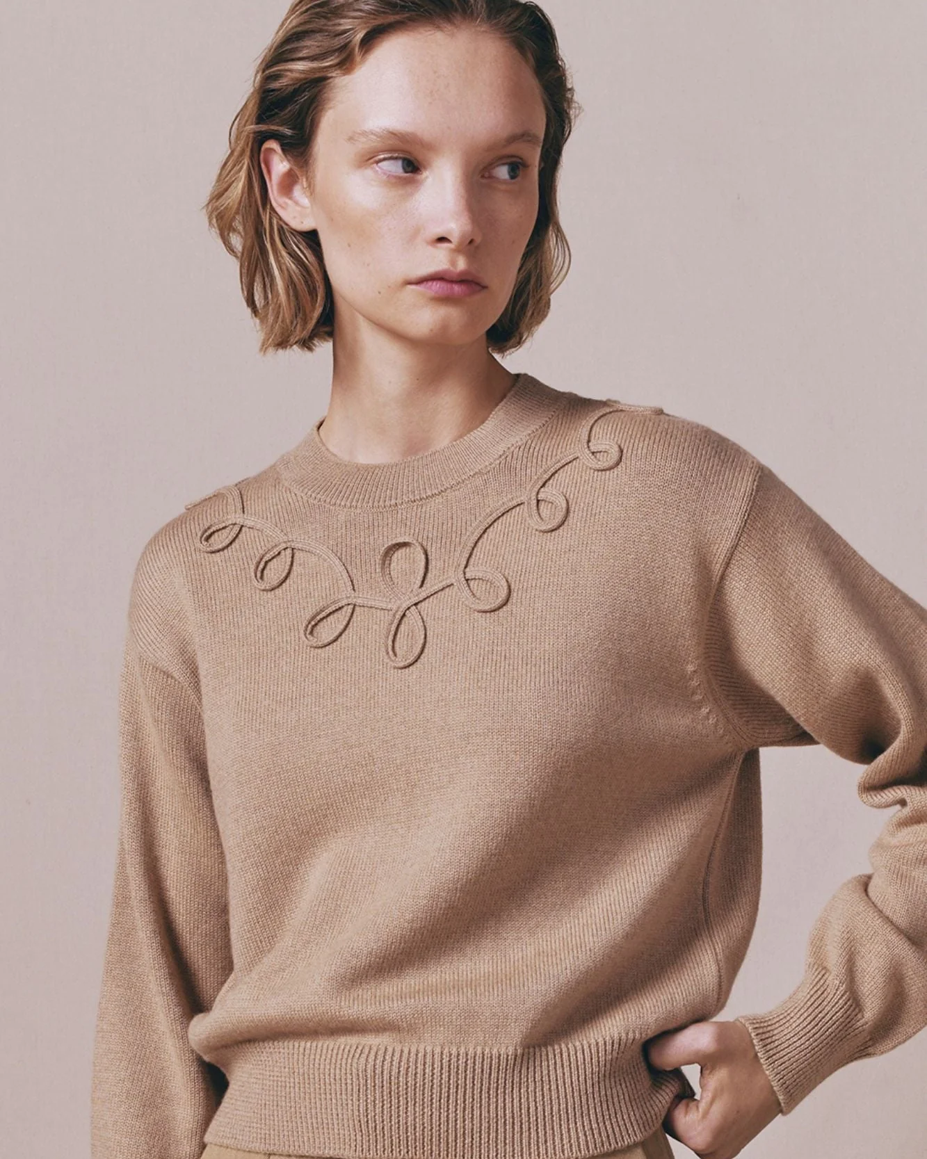 Camel Merino Wool Sweater With Embroidered Details - Image 6