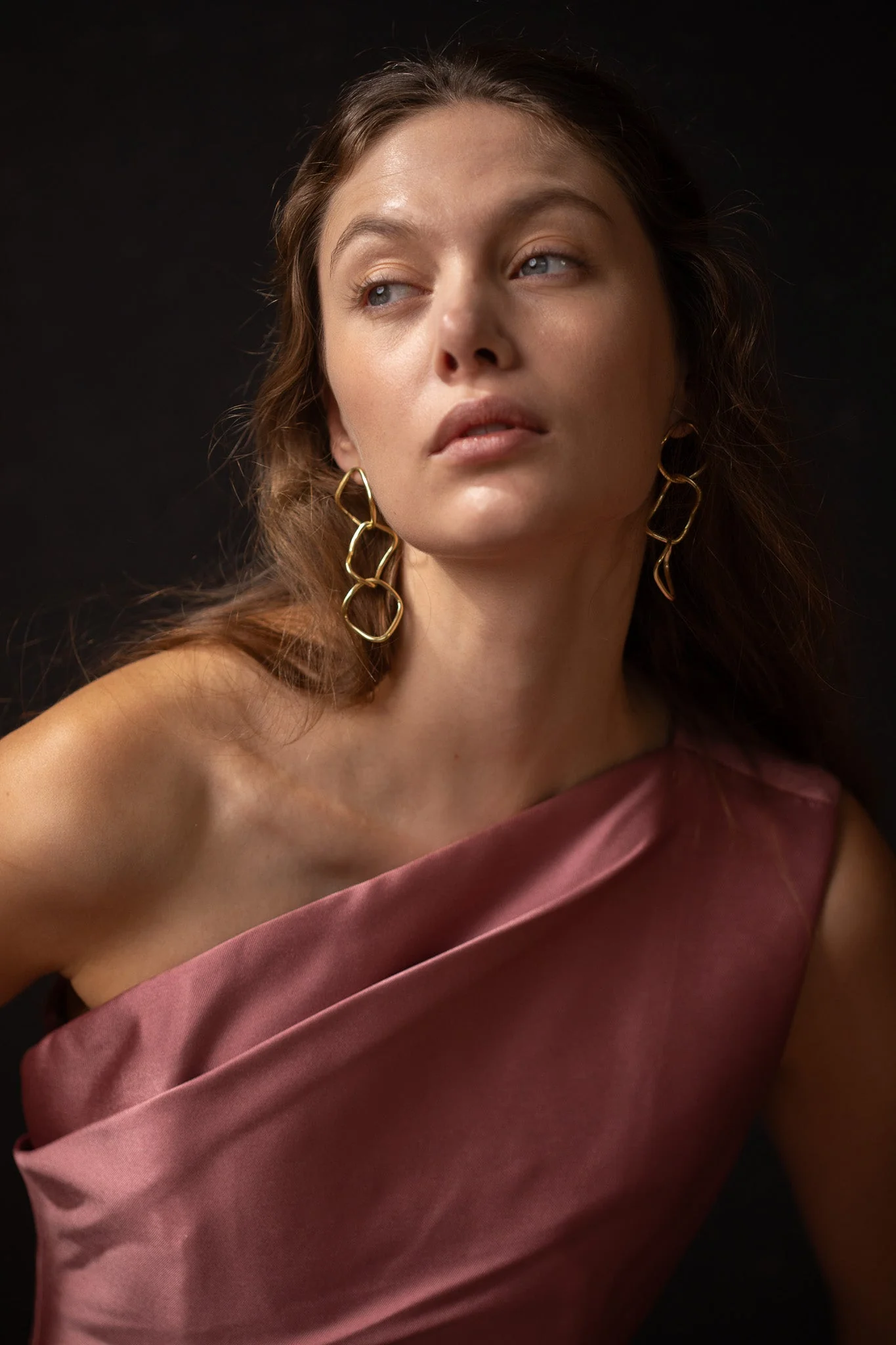 Hermes Earrings - Image 5