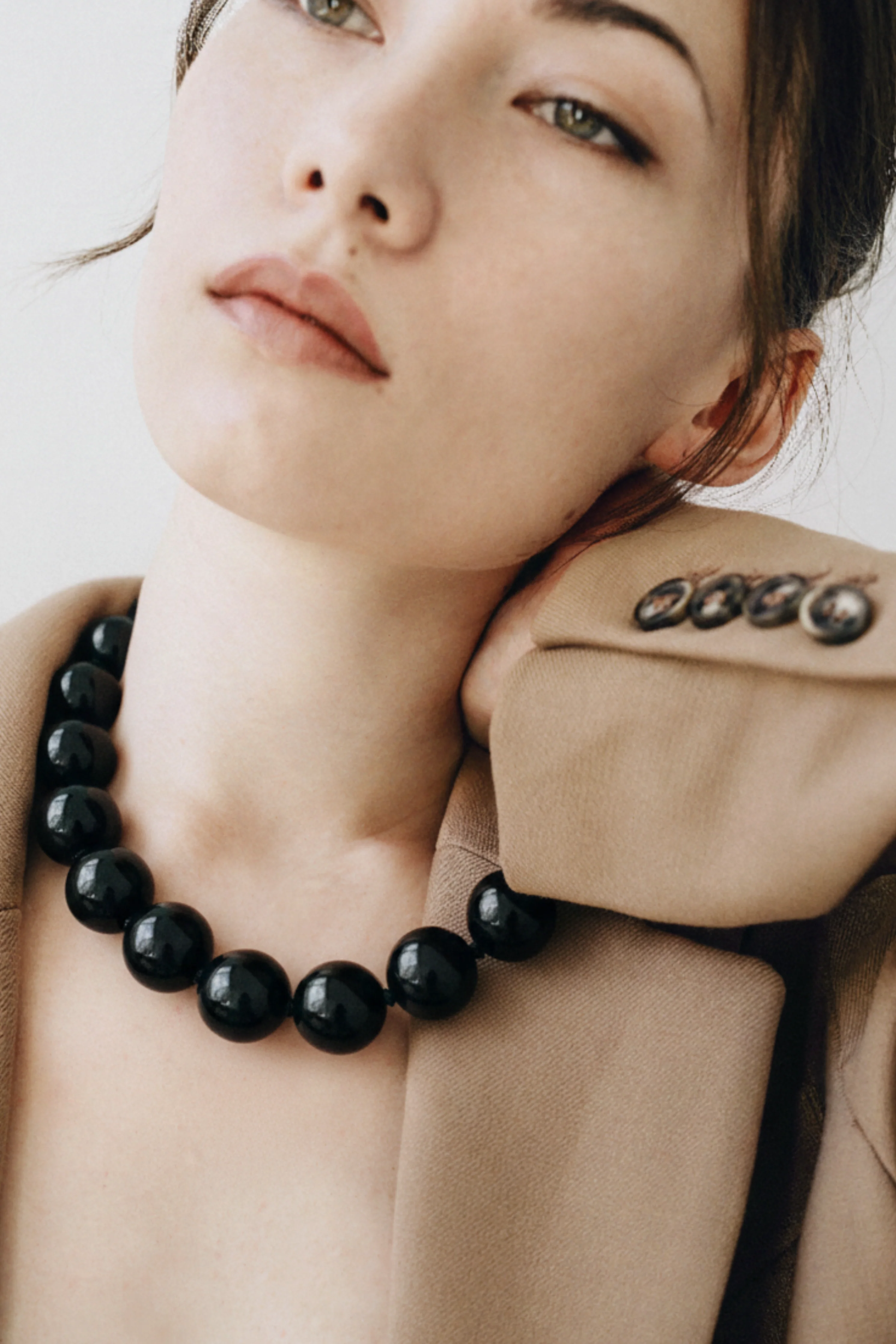 Midnight Collar